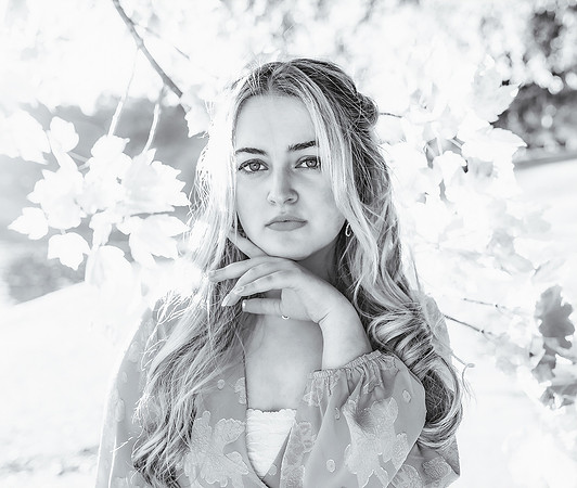 _DSC3528BW@0.33x