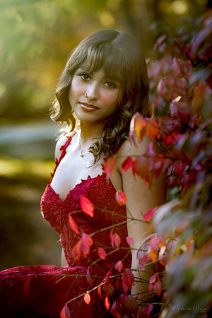 IMG_5659C@0.33x