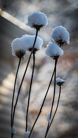 untitled-3