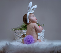 A Baby Bunny B