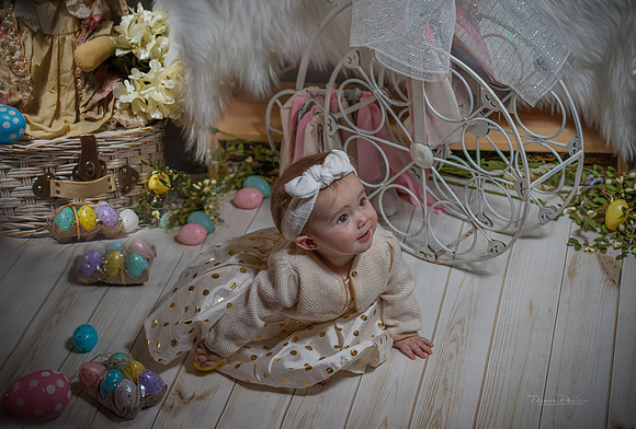 1 Easter 2020 C