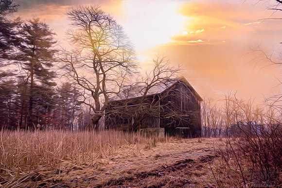 PhotoArtCuyNatPark