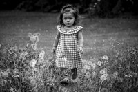 RedWhite andBlueThea11BW