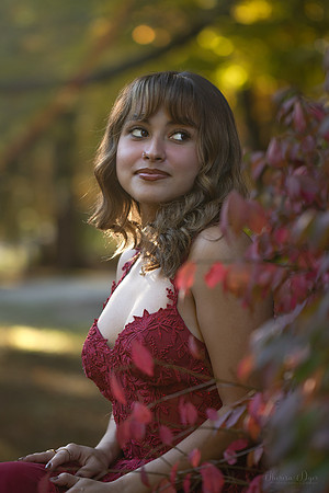 IMG_5678@0.3x