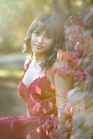IMG_5659B@0.33x